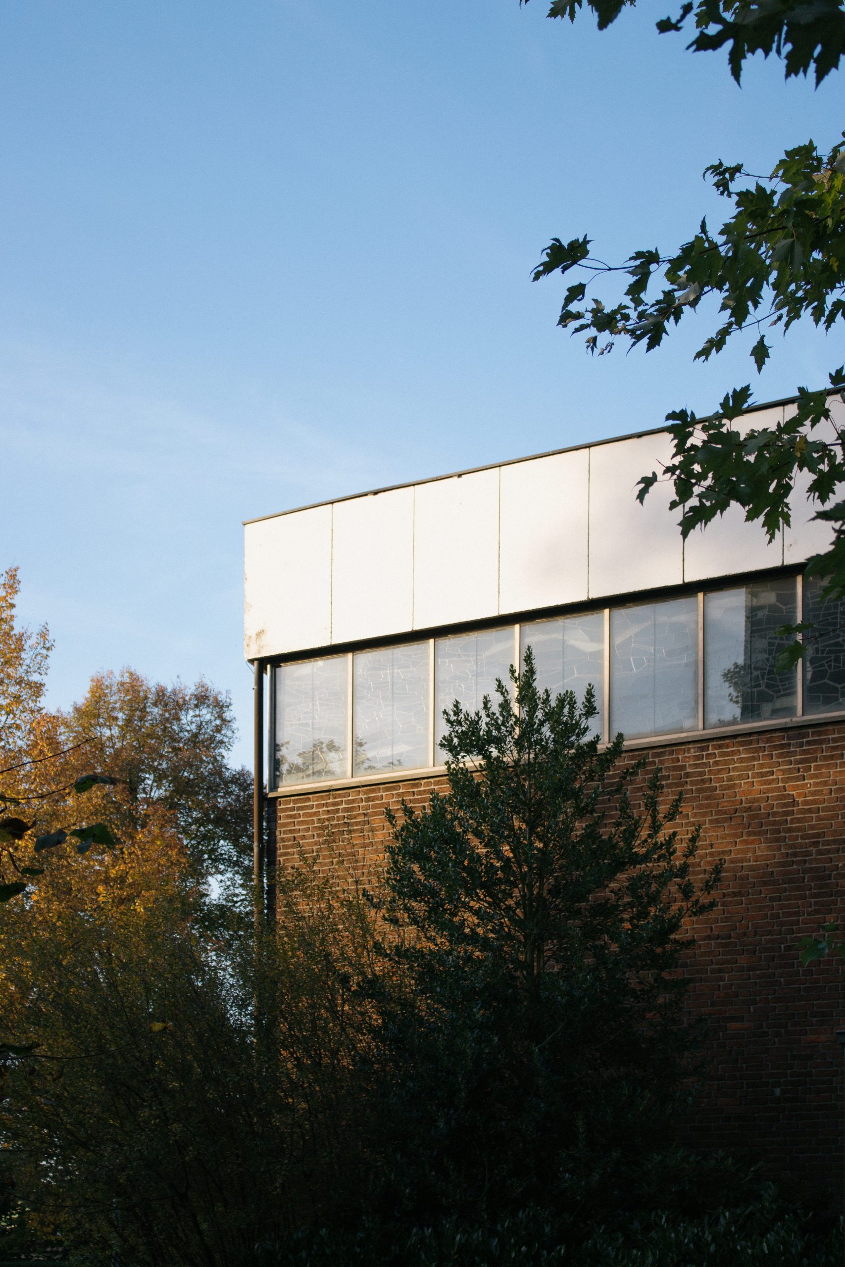 marie · lise hofstetter